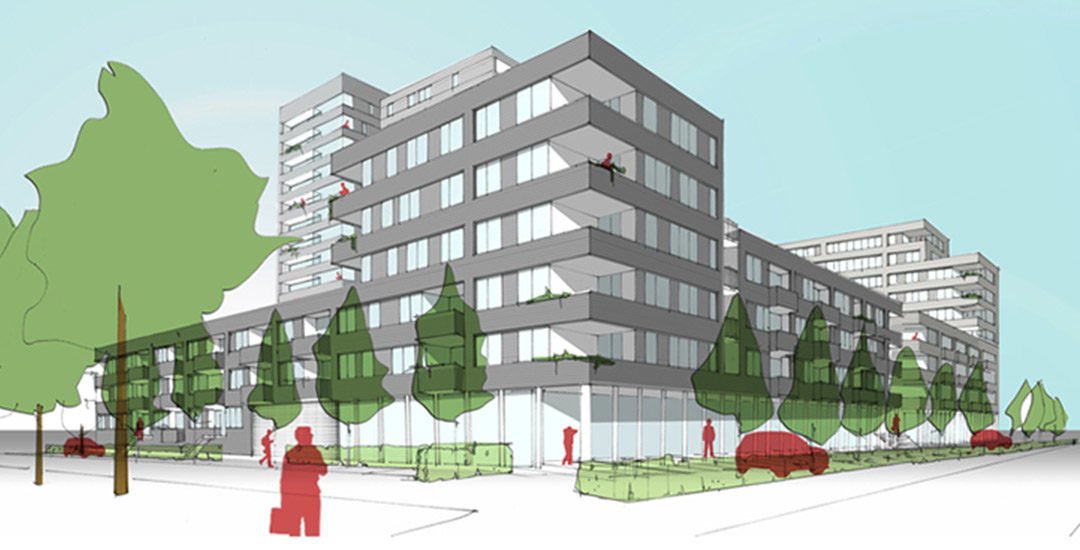 Meeuwensingel