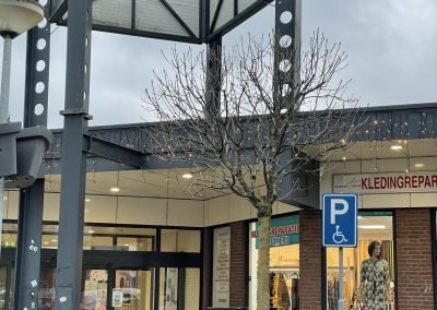 De Wyvborgh